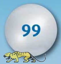 8800_0.jpg