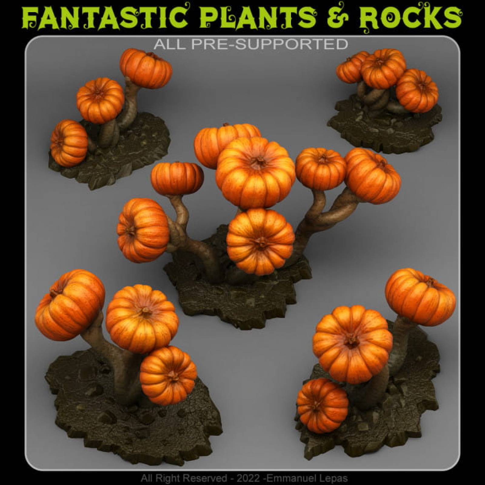 Dark-Pumpkin-Trees.FPR0137a.jpg