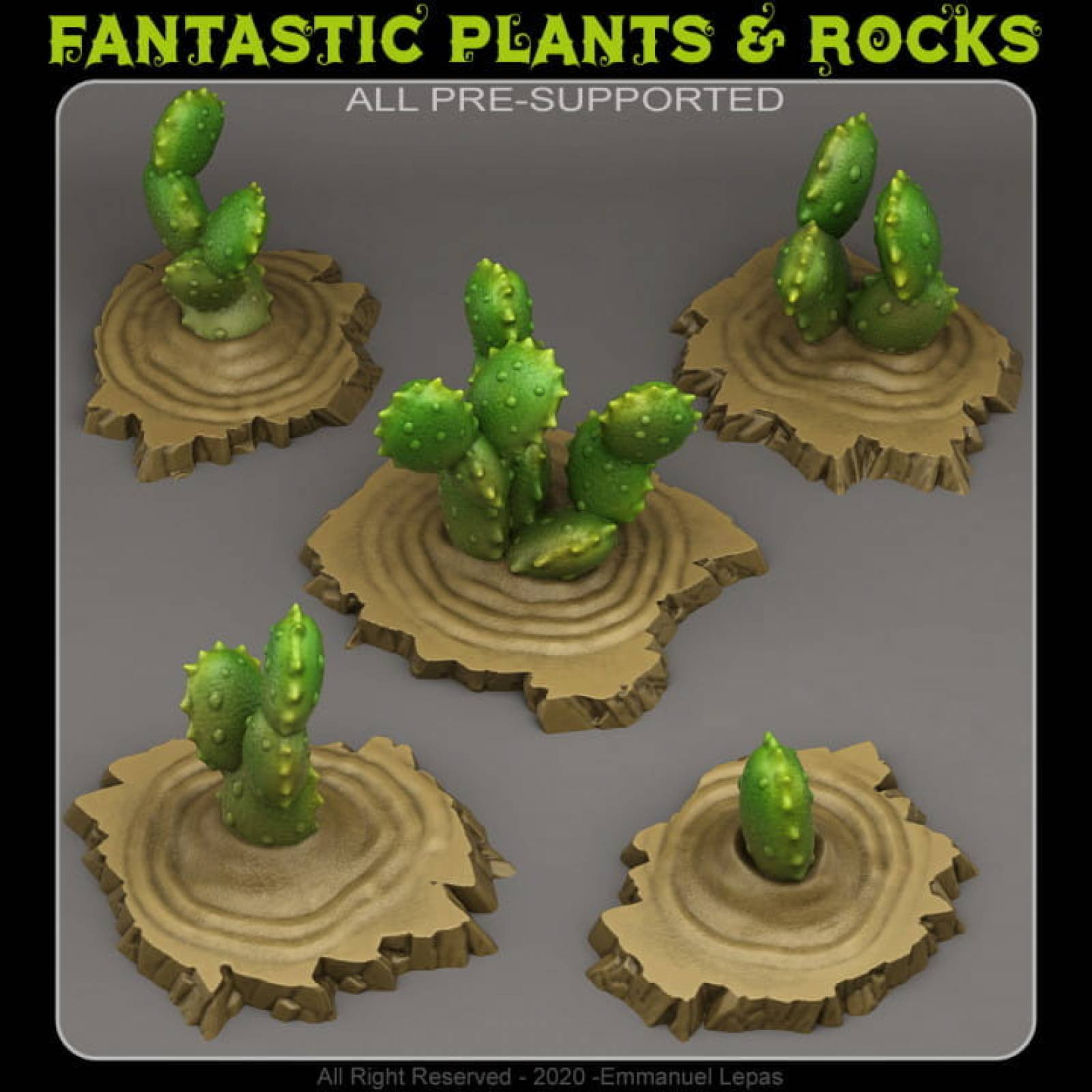 Egyptian-Cactuses.FPR0027a.jpg