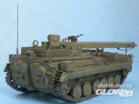 ace-ace-72130_2.jpg