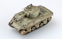 easy-model-ezm-36256.jpg