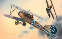 eduard-edu-7021.jpg