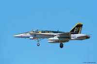 hasegawa-hg-600981.jpg