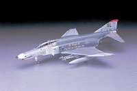 hasegawa-hg-607208.jpg