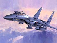 hasegawa-hg-607248.jpg