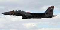 hasegawa-hg-607318.jpg