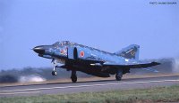 hasegawa-hg-607392.jpg