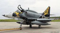 hasegawa-hg-607423.jpg