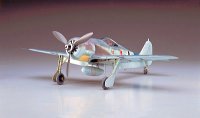 hasegawa-hg-608071.jpg