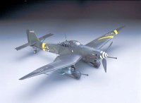 hasegawa-hg-608075.jpg