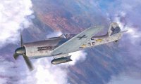 hasegawa-hg-608223.jpg