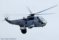 hasegawa-hg-609863.jpg
