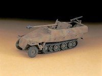 hasegawa-hg-631145.jpg