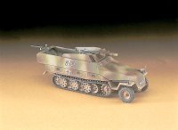 hasegawa-hg-631146.jpg