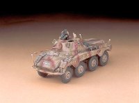 hasegawa-hg-631152.jpg