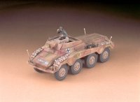 hasegawa-hg-631154.jpg