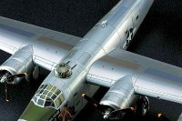 hasegawa-hg-671803_1.jpg
