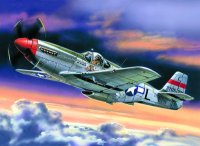 icm-icm-48121.jpg