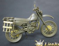 lion-roar-lio-le35081.jpg