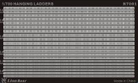 lion-roar-lio-r7001.jpg