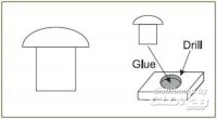 plusmodel-pm-464.jpg