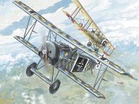 roden-rd-007.jpg