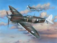 special-hobby-sh-48100.jpg